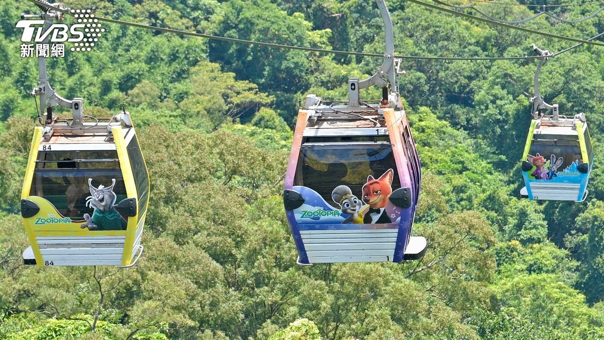 圖輯／動物方程式貓纜攜手　百台彩繪車廂、超萌打卡點亮相