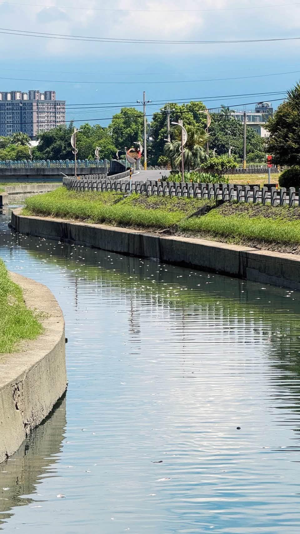 打那岸圳魚群集體暴斃。（圖／翻攝自宜蘭縣議員沈信雄臉書）