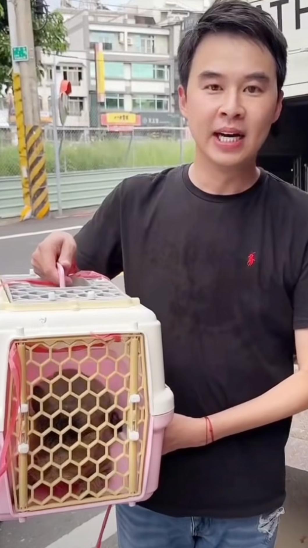 台南市議員林冠維協助安置虎斑貓。（圖／翻攝自「林冠維 Lin Kuan-Wei」臉書）
