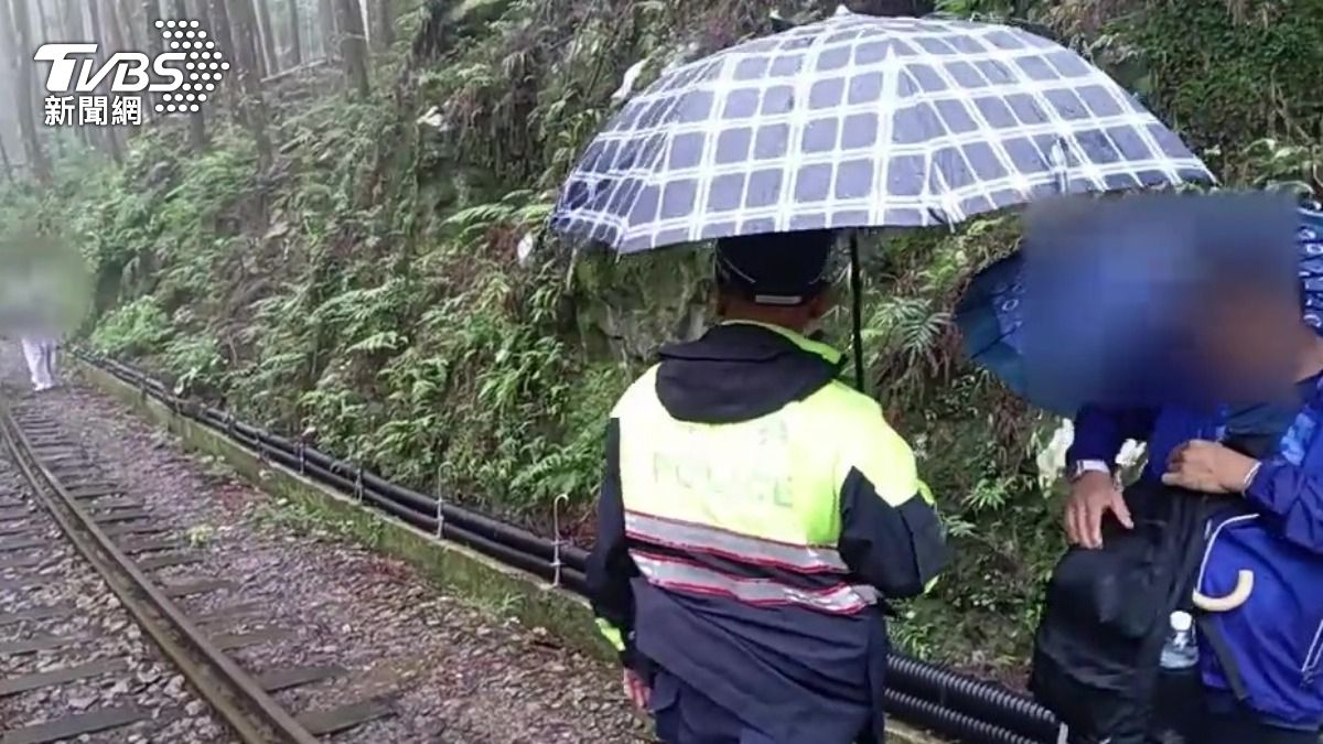 拍美照代價大！阿里山4遊客「無視號誌」闖軌　遭重罰5萬