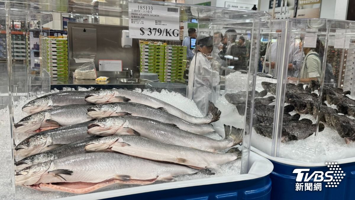新鮮的鮭魚、石斑魚，活跳跳的沙公與沙母。（圖／林雅婷攝）