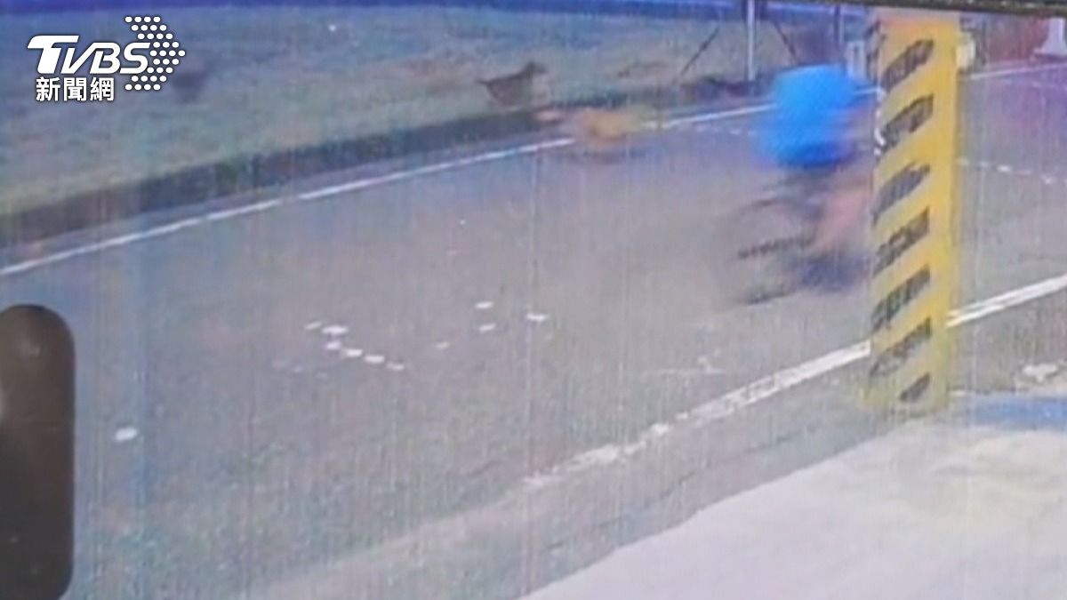 13歲男童騎單車遭10多隻野狗追趕！摔車狂奔800公尺，渾身傷回家。(圖／民眾提供)