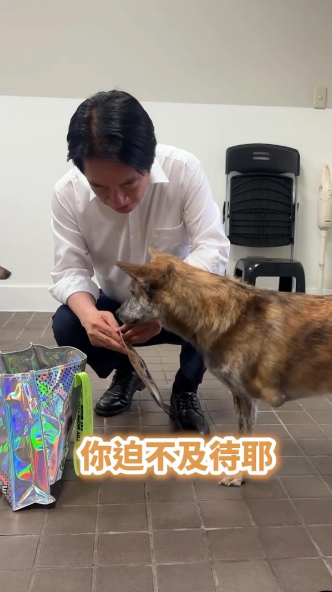 眼見斑斑興奮吃下，賴清德開心的說「好像很對你胃口」。（圖／翻攝自Threads@william_chingte）