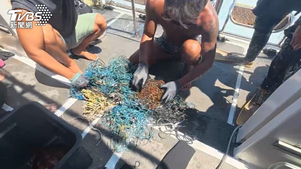 海洋垃圾成隱形殺手！2小海龜遭幽靈漁網死纏　澎湖潛水團急救援