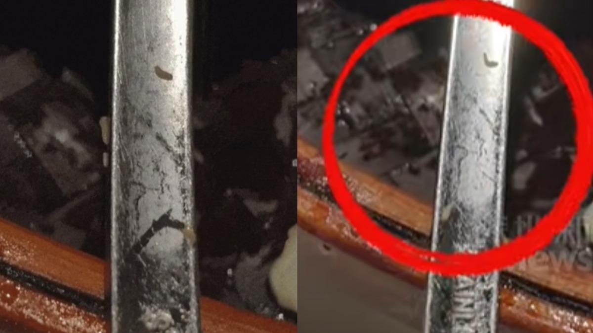 吃完才驚覺「全是活蛆」!他崩潰:廚房多髒 陸餐廳恐怖畫面曝