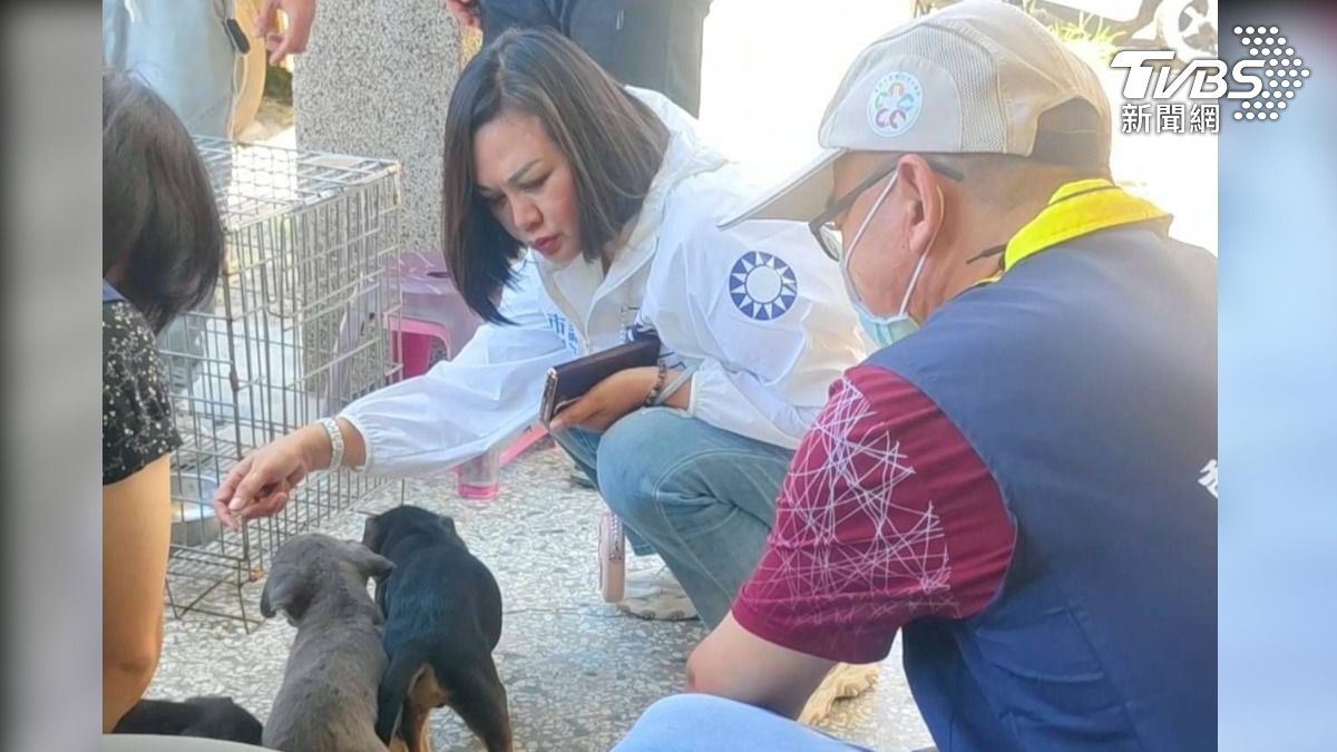 心疼!台南移工宿舍「5幼犬後腿斷」 動保處送醫:罹患狗瘟