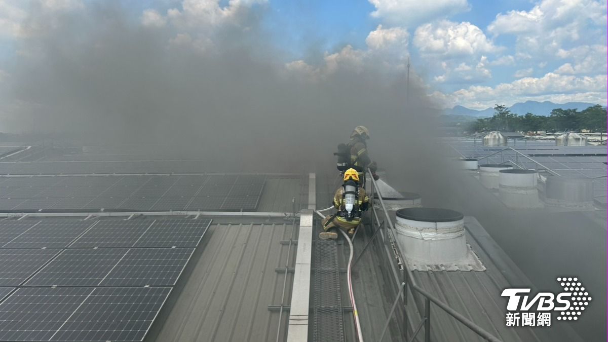 台南柳營畜牧場火災後復燃 大批豬隻「被火烤」空氣飄焦肉味
