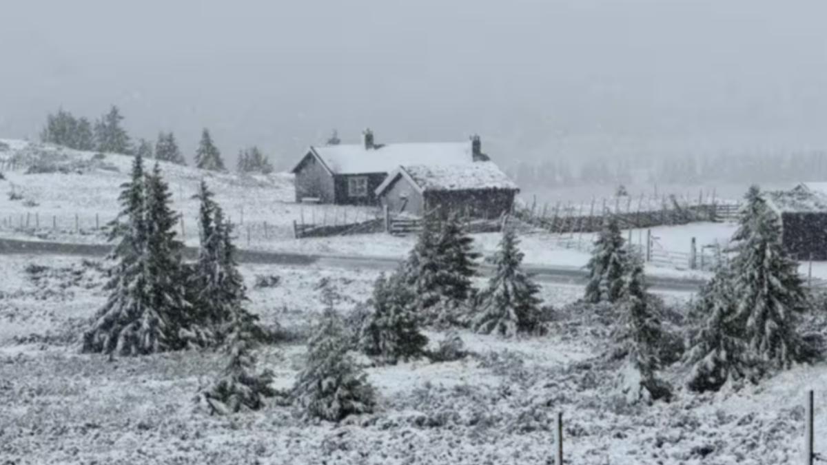 歐洲熱浪連奪命!挪威度假村突降7月雪 遊客計畫全泡湯
