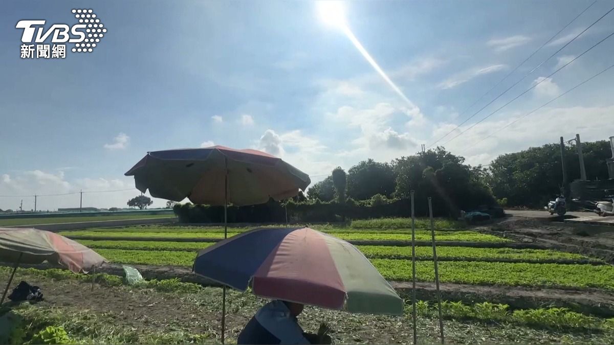 颱風逼近全台農民動起來!葉菜價比五月翻倍 瓜果怕泡水搶收。(圖/TVBS)