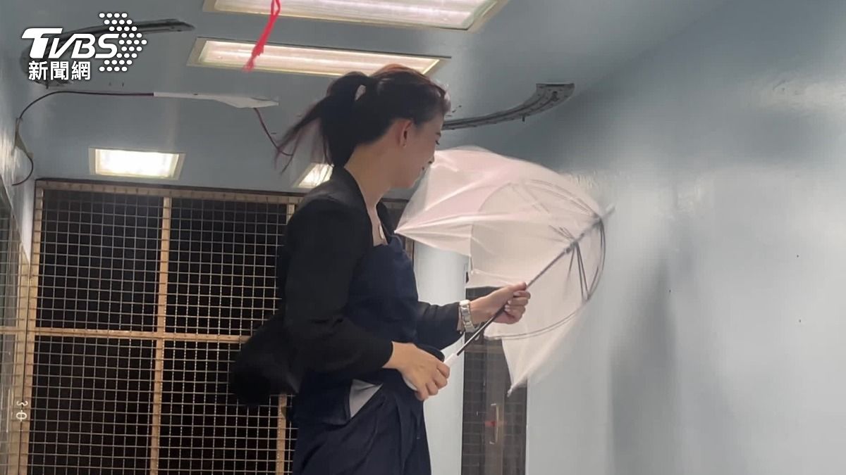巴威颱風襲台,估恐颳12級強風,外出雨傘也無用。(圖/TVBS)