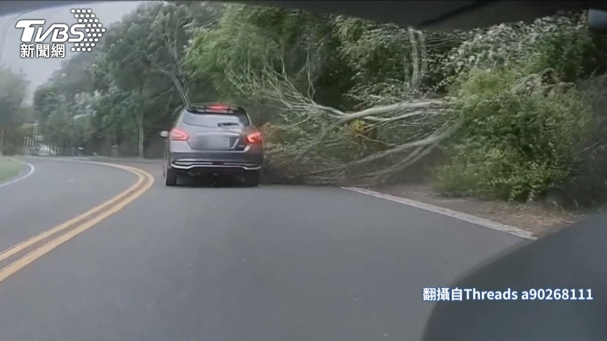 彰化芬園139縣道也有路樹被吹斷,波及行經車輛,所幸各事故均無人員受傷。(圖/民眾提供)