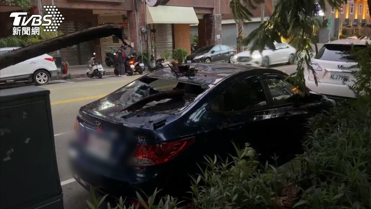 台中也傳出路樹倒塌災情。一名車主的愛車直接被砸個正著,後擋風玻璃全數碎裂。(圖/TVBS)