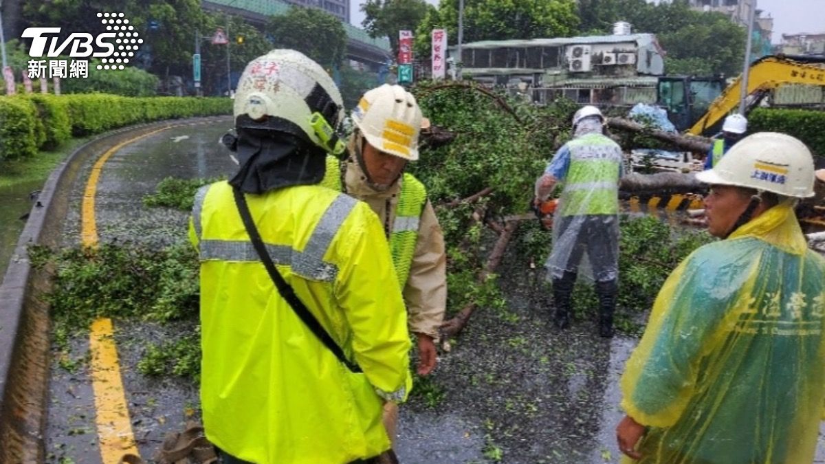 相關單位到場排除倒塌路樹。（圖／TVBS）