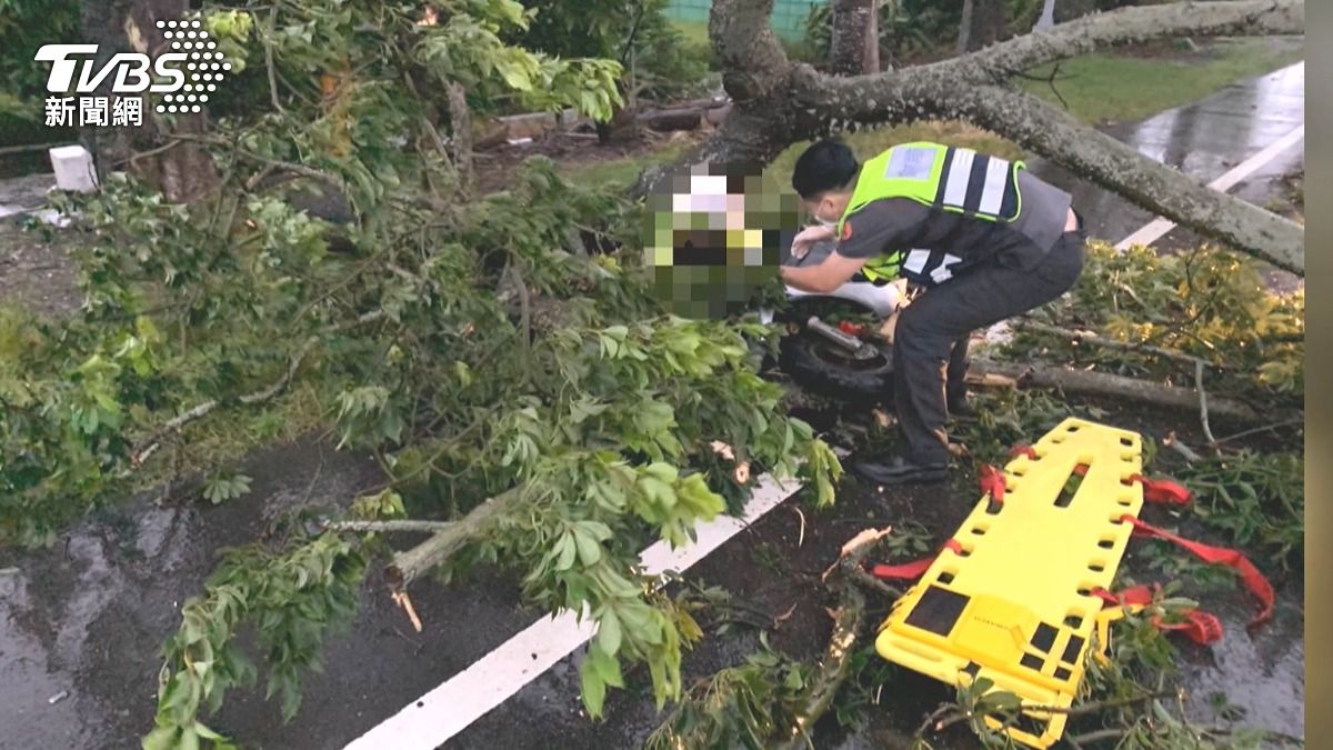 颱風天清晨婦人出門拜拜遭路樹砸 臉頰撕裂傷