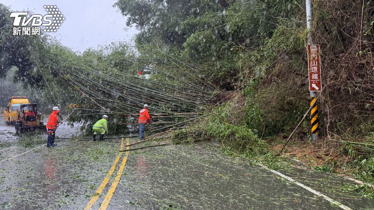 豪雨狂炸苗栗!竹林整片滑落佔車道 落石、巨樹倒塌畫面曝