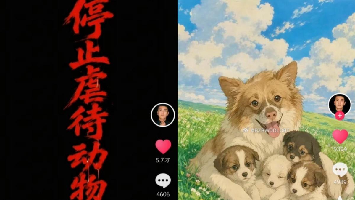 杜江屢次在社群平台對虐狗事件發聲,卻不斷被平台下架。(圖/翻攝自微博)