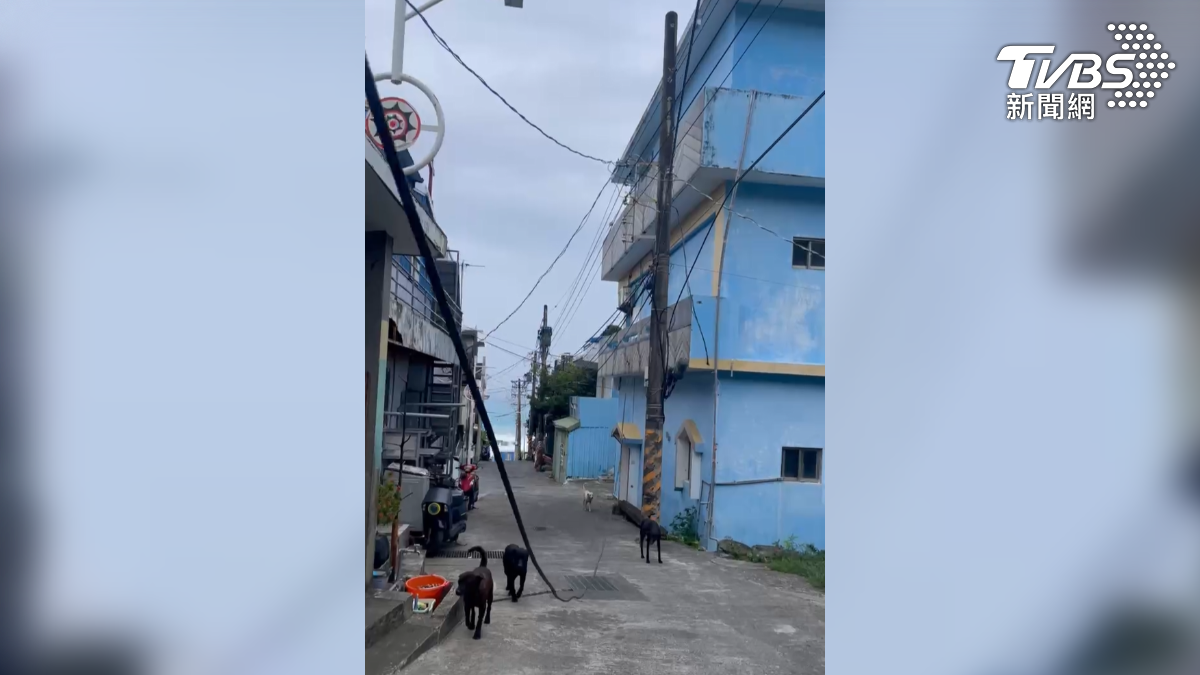 11日早上海況依舊嚴峻,大浪不斷吞沒沙灘,電桿上的電線也被強風吹落,幾乎垂到地面。(圖/TVBS)