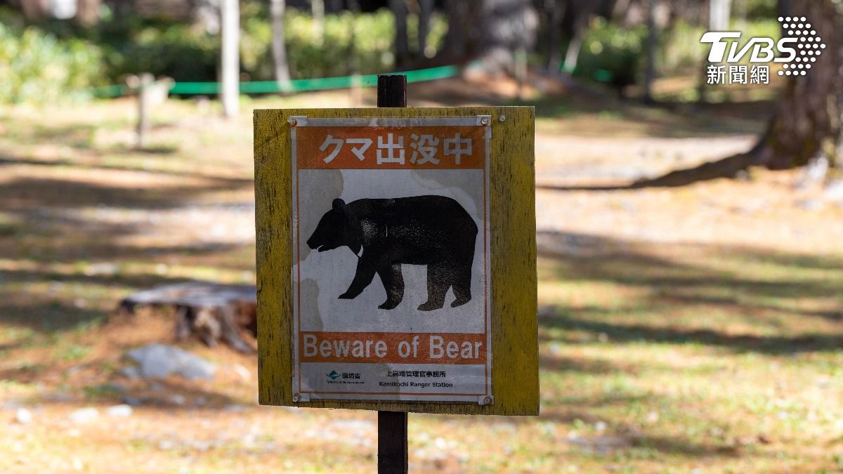日本京都圓光寺驚傳「野熊出沒」! 導遊目擊嚇傻急報警
