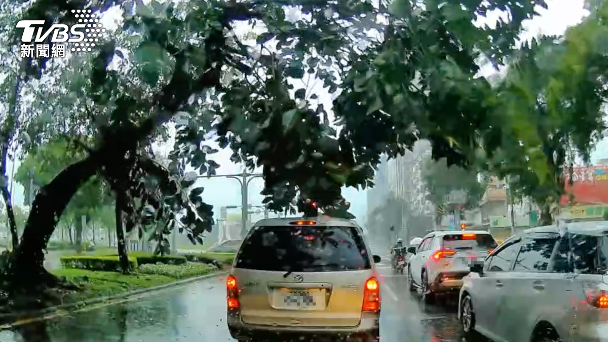 車輛停等紅燈時路樹已搖搖欲墜。(圖/TVBS)
