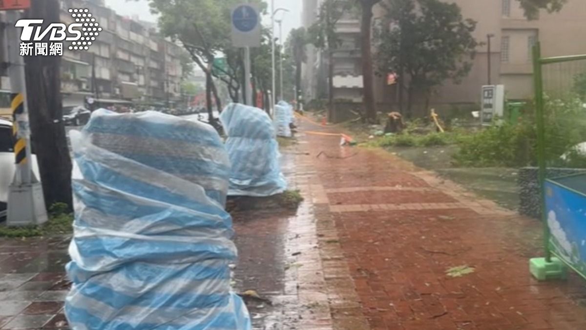 士林士商路一整排樹木被砍光引發網友質疑,蔣萬安澄清該處為民眾私人土地。(圖/TVBS)