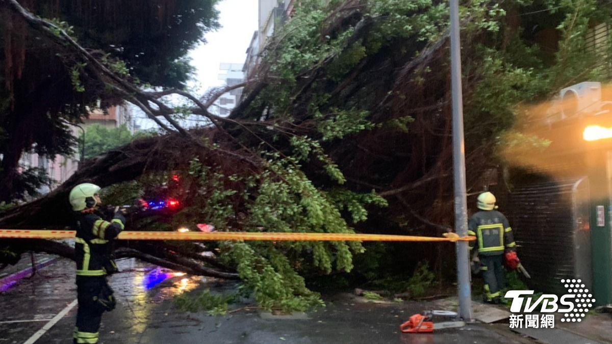 巴威颱風風雨強勁!北市中山區巨大路樹被吹倒 警急拉封鎖線