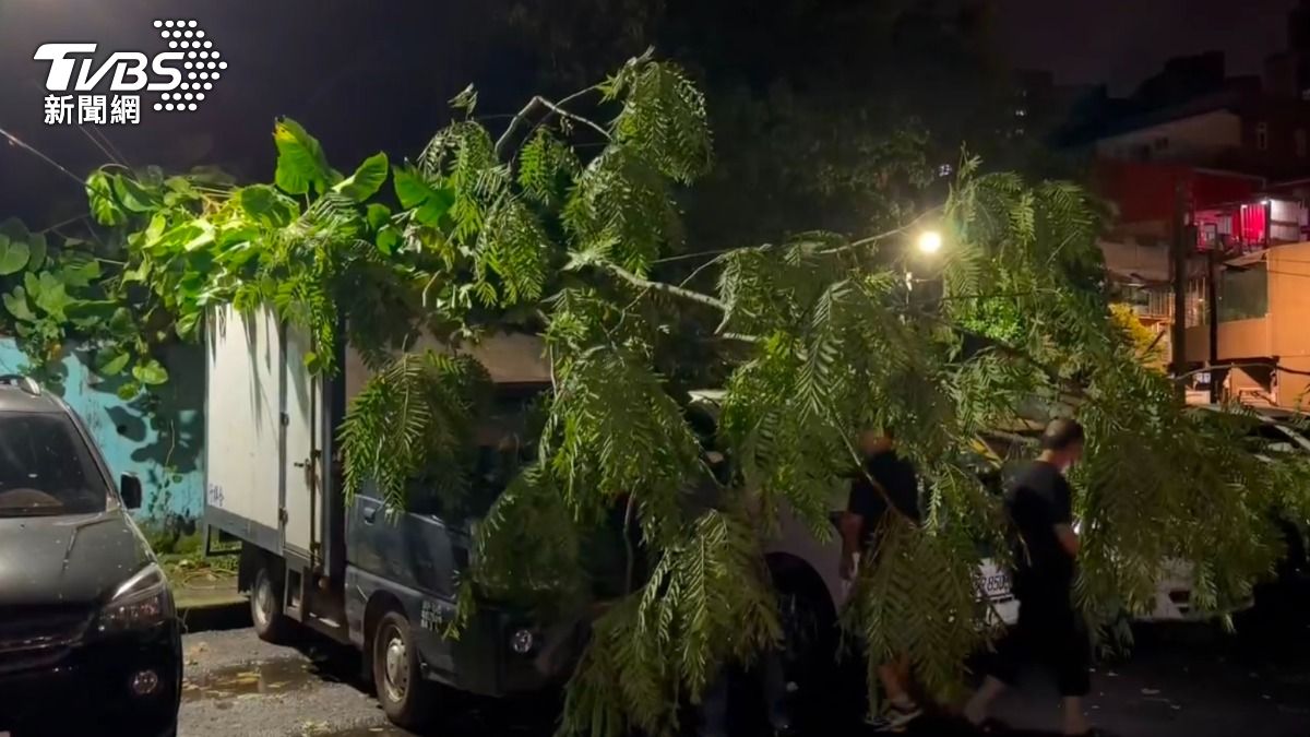 巴威風雨吹倒路樹 基隆真砂里停車場「三輛車」遭路樹壓住