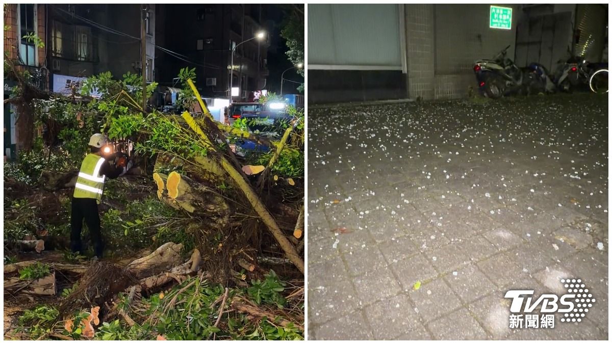 台北市昨（11）日晚間接連發生中山區龍江路345巷大型路樹倒塌壓損4機車與2民宅，以及內湖區內湖路一段91巷大樓頂樓玻璃不敵強風破裂、碎片散落地面之災情。（圖／TVBS）