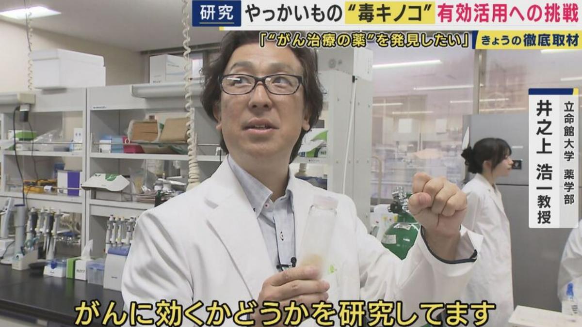 井之上教授將數百種毒菇製成粉末,測試其對抗癌細胞的活性。(圖/翻攝自關西電視台)