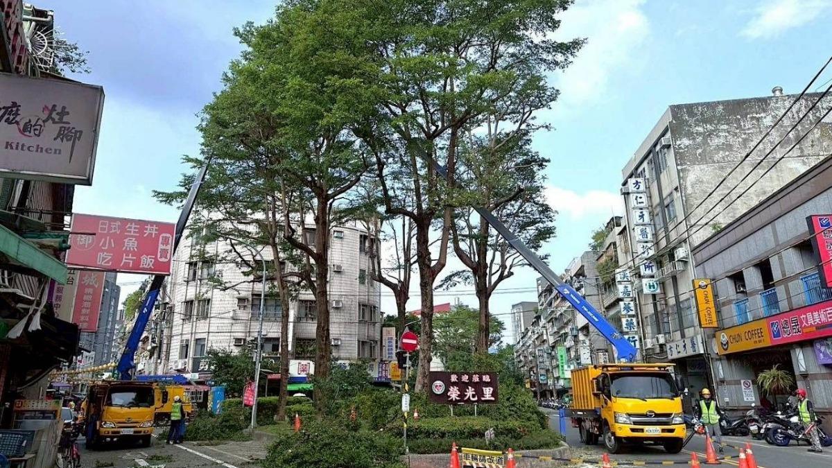 北市砍樹挨轟!侯漢廷反嗆:南部「砍樹種光電板」有在意嗎?