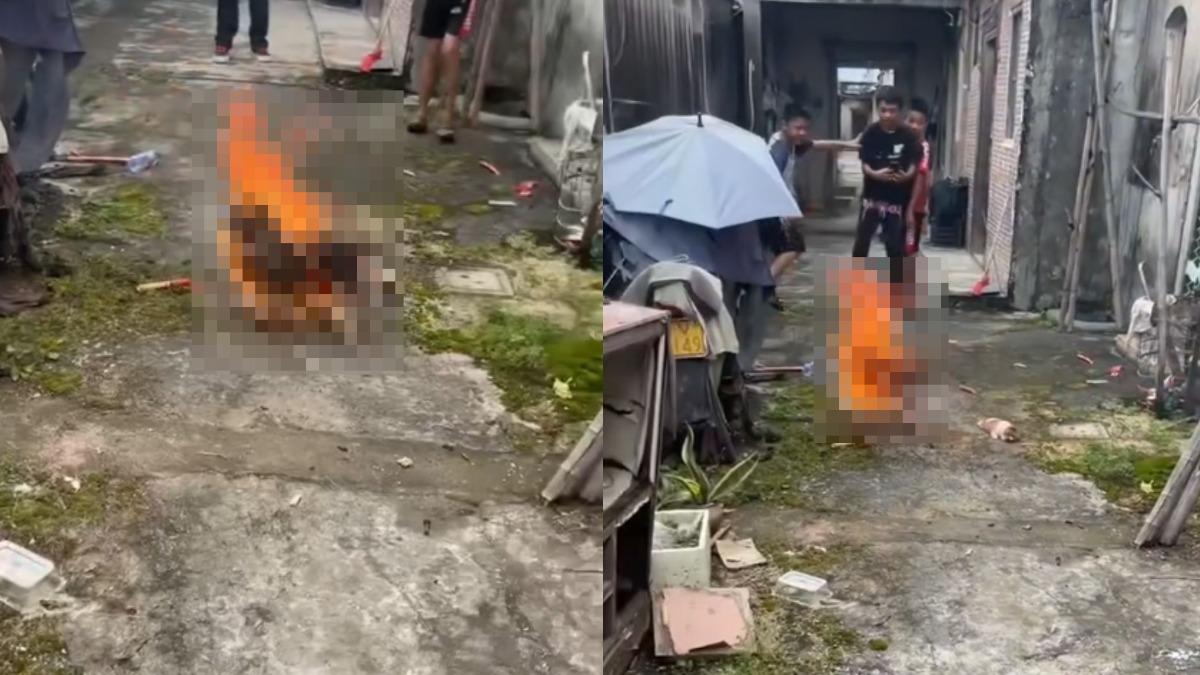 中國4小學生虐殺浪浪！活焚狗媽笑喊「好香」　幼犬遭棍毆爆頭