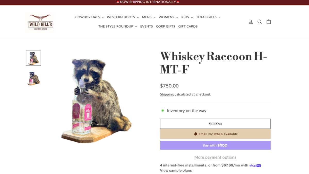 Wild Bill官網顯示,哈蘭德同款「威士忌浣熊」(Whiskey Raccoon)的商品已經售罄。(圖/翻攝Wild Bill官網)