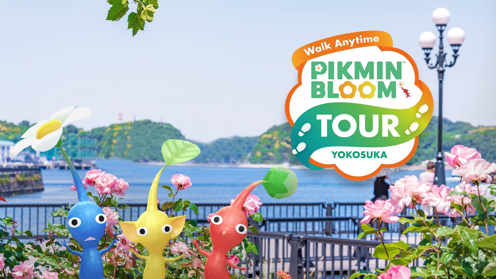 皮克敏漫步各地-橫須賀攻略-金色花盆-Pikmin Bloom Tour