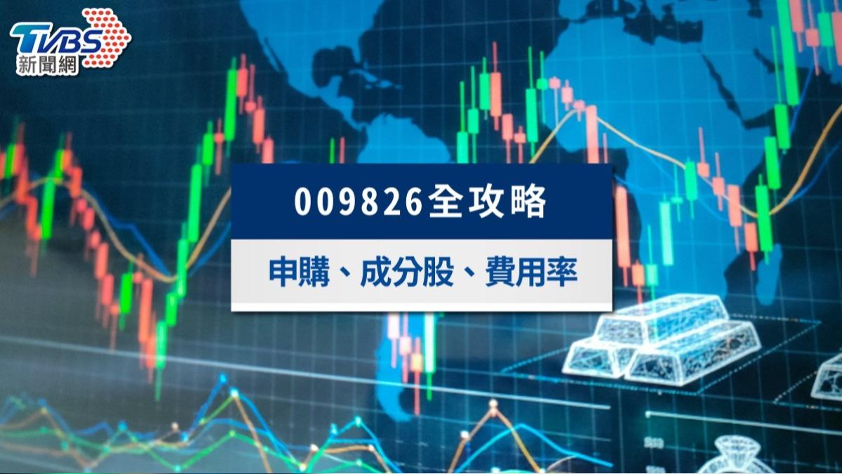 台版VT「009826」值得買嗎?申購時間、成分股與VT費用比較