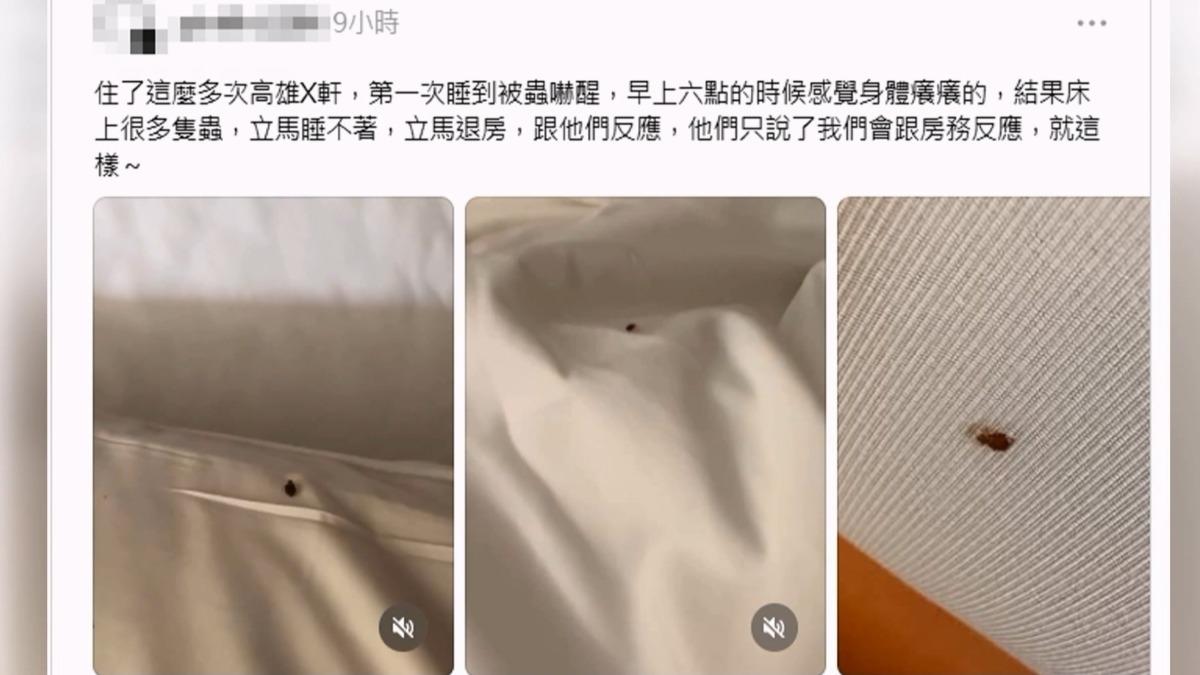 高雄一家老字號星級飯店有民眾入住後於凌晨被癢醒,發現棉被、枕頭及牆面上爬滿小蟲。(圖/翻攝_Threads)