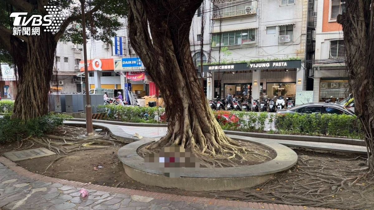 新北市新莊區福壽公園下午發生持刀傷人事件。（圖／TVBS）