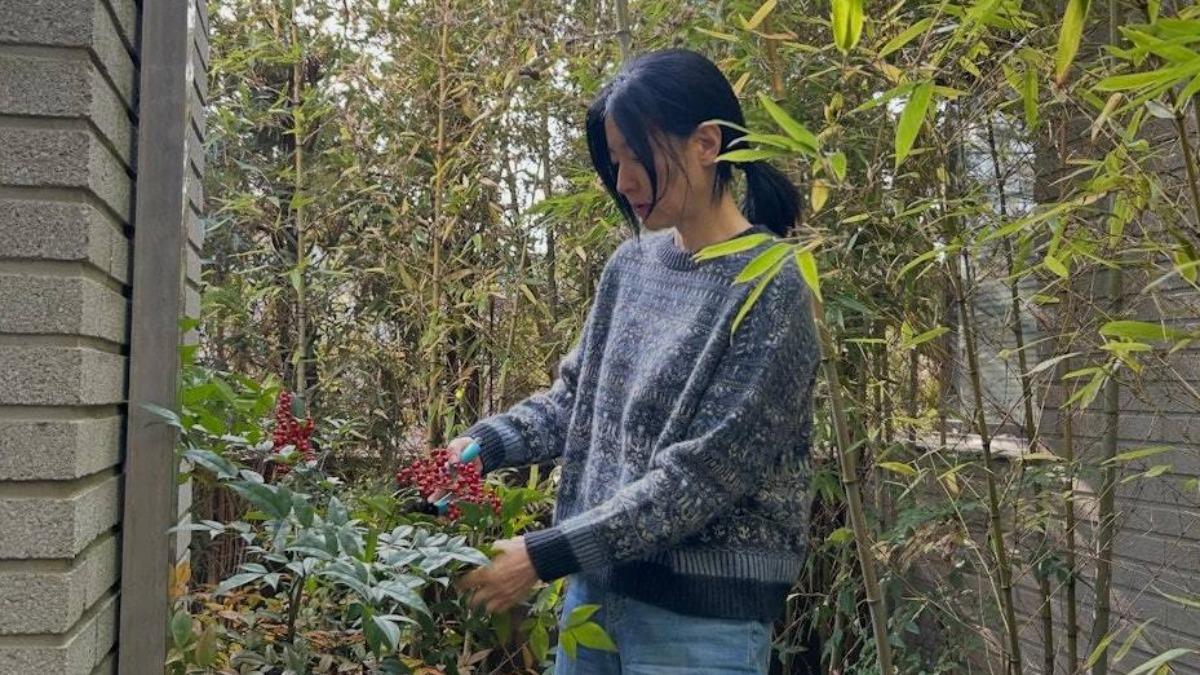李英愛也經常在社群平台分享親手種植香瓜。(圖/翻攝自IG@leeyoungae0824)