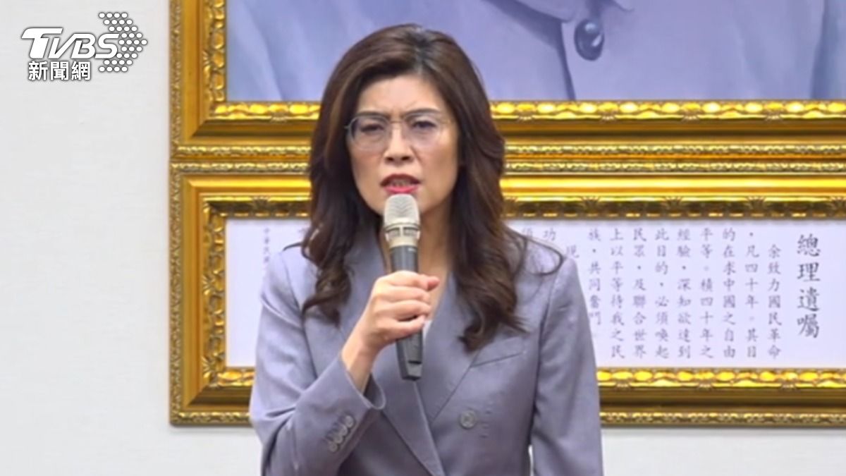 國民黨發起7/25「我是人我反毒台」遊行，結合藍白陣營力量號召群眾上街。（圖／TVBS）