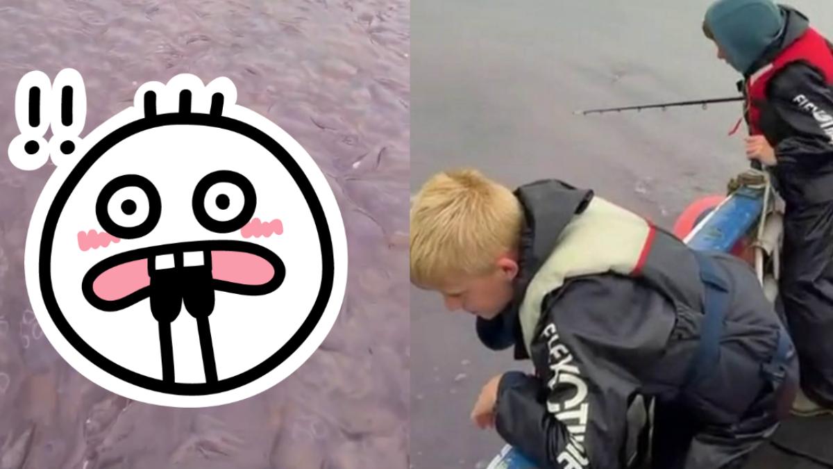 蘇格蘭一名父親日前帶著兩個兒子出海釣魚時，意外駛入一大片密密麻麻的「水母海」。（圖／翻攝SWNS）