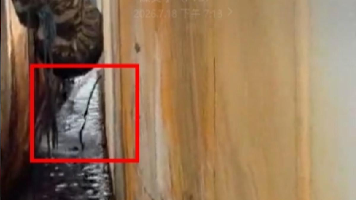 小港的臨海新村漁港，有遠洋漁船被目擊，偷排黑色的廢油，污染整個港區。（圖／民眾宋先生提供）