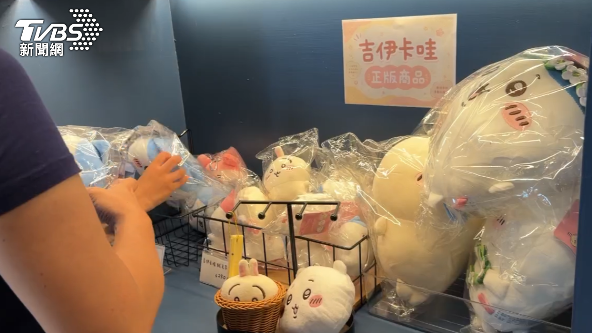 台東熱氣球嘉年華爆「盜版吉伊卡哇」！價差一倍（圖／TVBS）