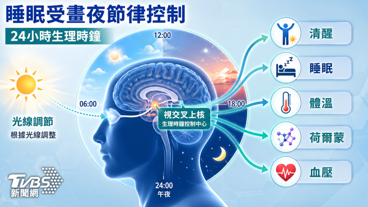 睡不好恐讓大腦提早老化3.5年?醫揭睡眠障礙與失智關聯 (圖/TVBS)