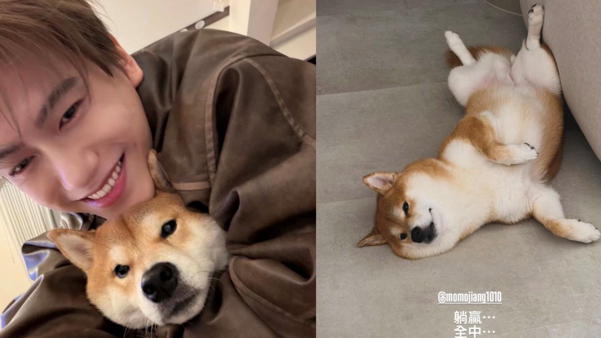 西班牙1分氣走阿根廷 邱宇辰愛犬「神準預測世足」:預言家躺贏