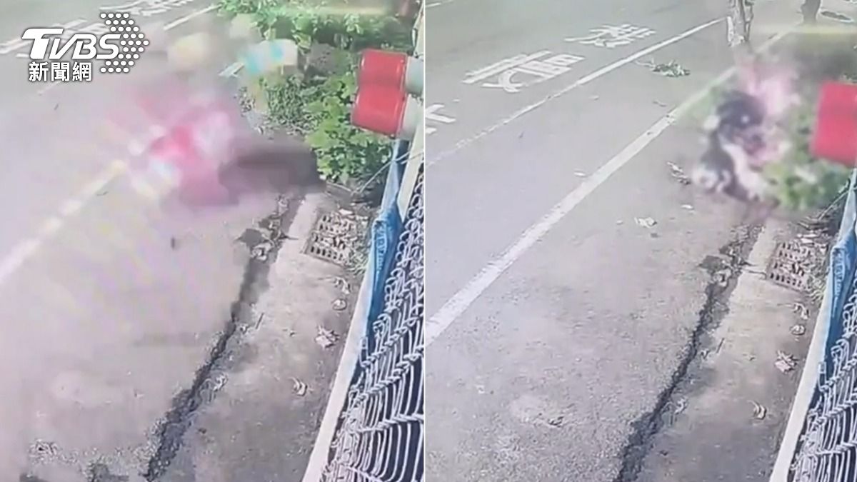 監視器拍下情侶自撞路樹瞬間。（圖／TVBS）