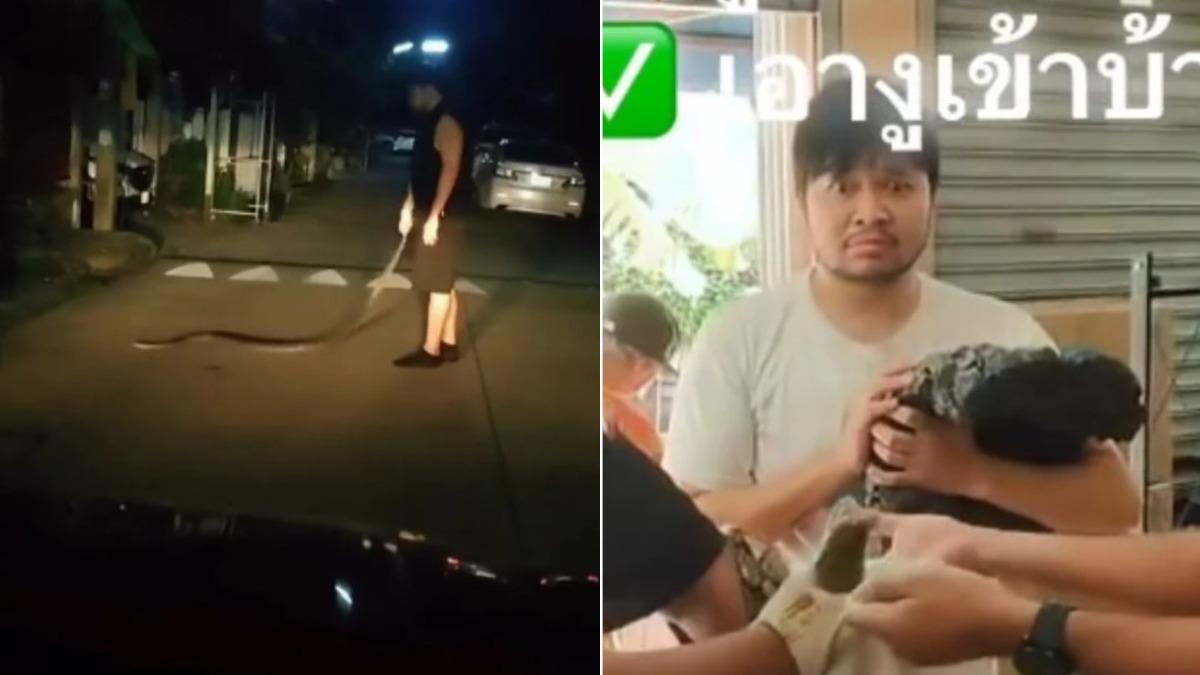 醉後大丈夫?泰男喝到斷片「抱野生蟒蛇回家」 酒醒看影片傻眼