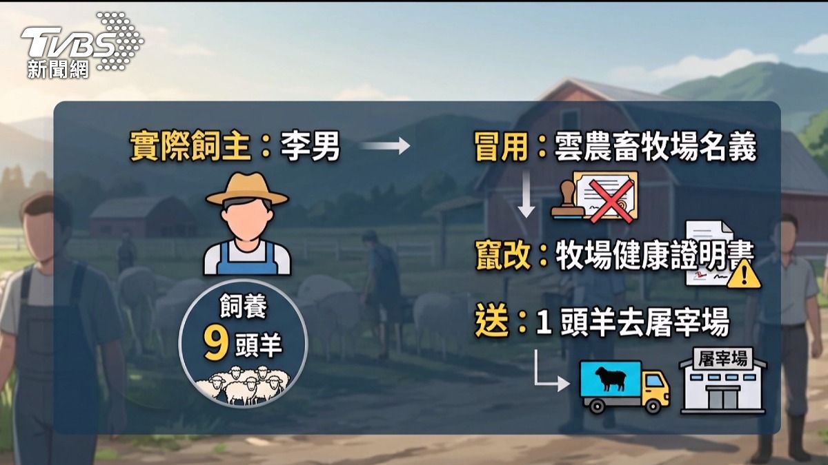 雲林首例！羊肉戴奧辛超標近2倍　飼主「偽造證明」遭約談。(圖／TVBS)