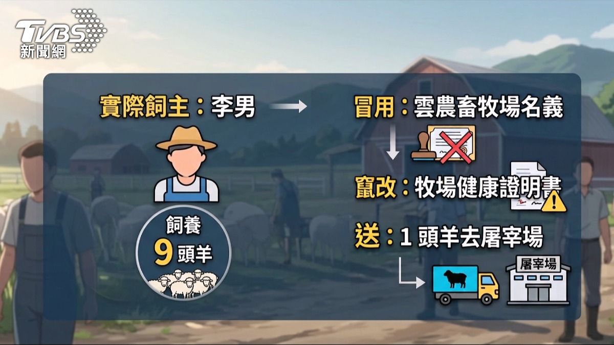 雲林首例！羊肉戴奧辛超標近2倍　飼主「偽造證明」遭約談。(圖／TVBS)
