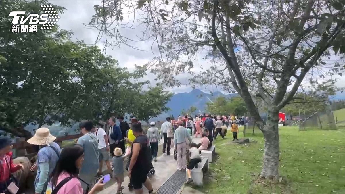 清境農場湧人潮！海拔1700m「涼爽23度」成避暑勝地。(圖／TVBS)