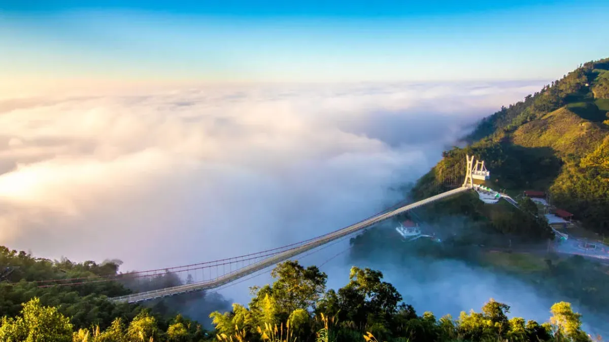 嘉義梅山太平雲梯是全台海拔最高的景觀吊橋。（圖／翻攝自阿里山國家風景區官網）
