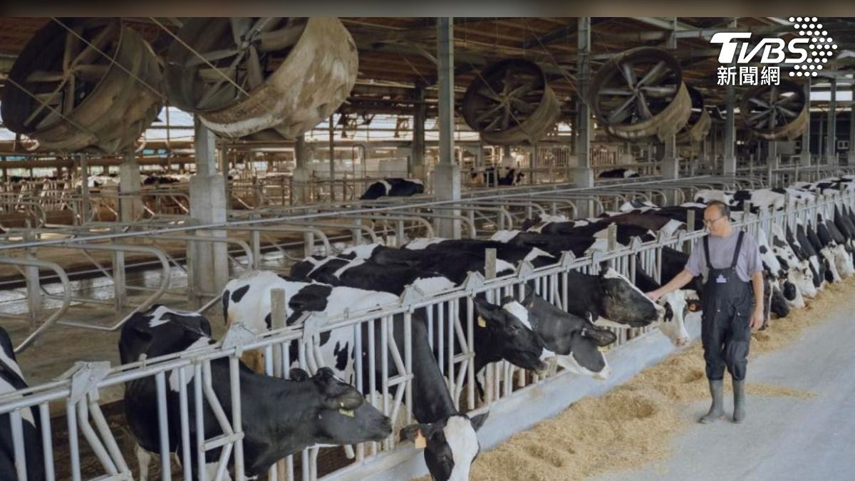 鮮乳為何這麼貴?生乳僅占售價3成 專家籲參考歐美列管機制