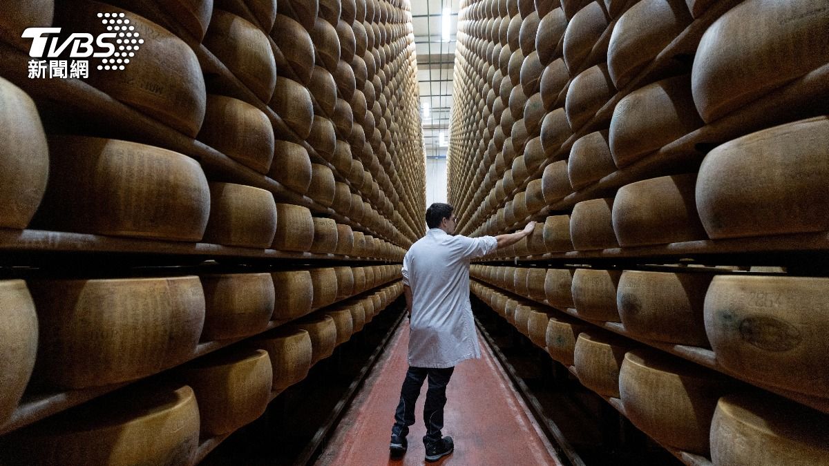 帕瑪森起司陷氣候危機!乳牛熱到「泌乳量暴跌」業者憂成最後一代